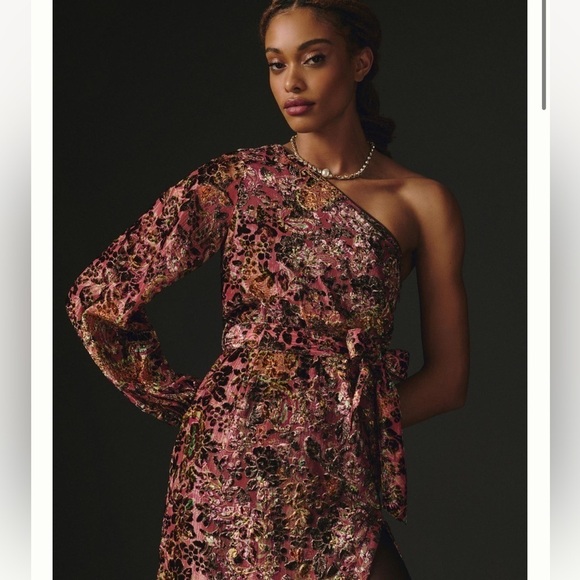 Hemant & Nandita Velvet Burnout Dress - Picture 3 of 10